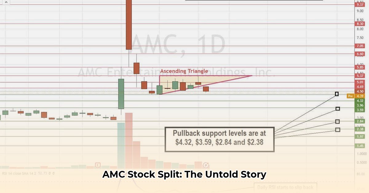 amc-stock-split-history
